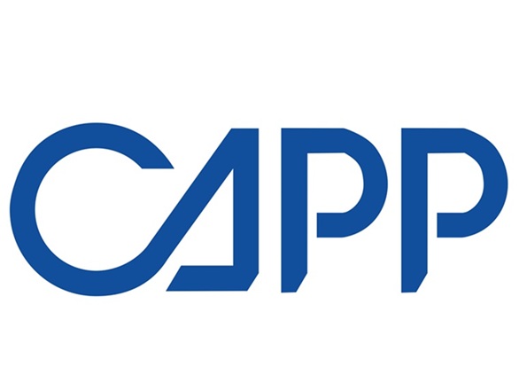 赛朗道成为CAPP中国授权代理